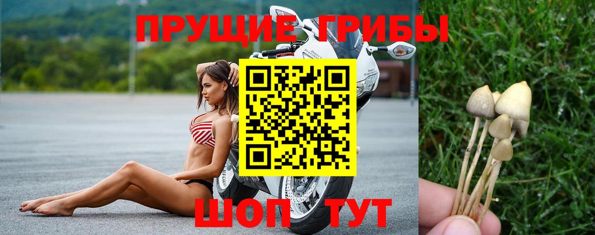 Галлюциногенные грибы ЛСД Свободный