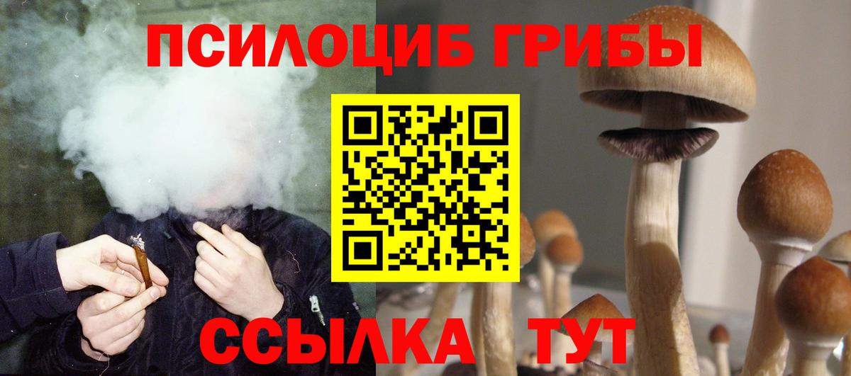 Свободный  Псилоцибиновые грибы ЛСД  Вход с VPN  Псилоцибиновые грибы Psilocybe 
